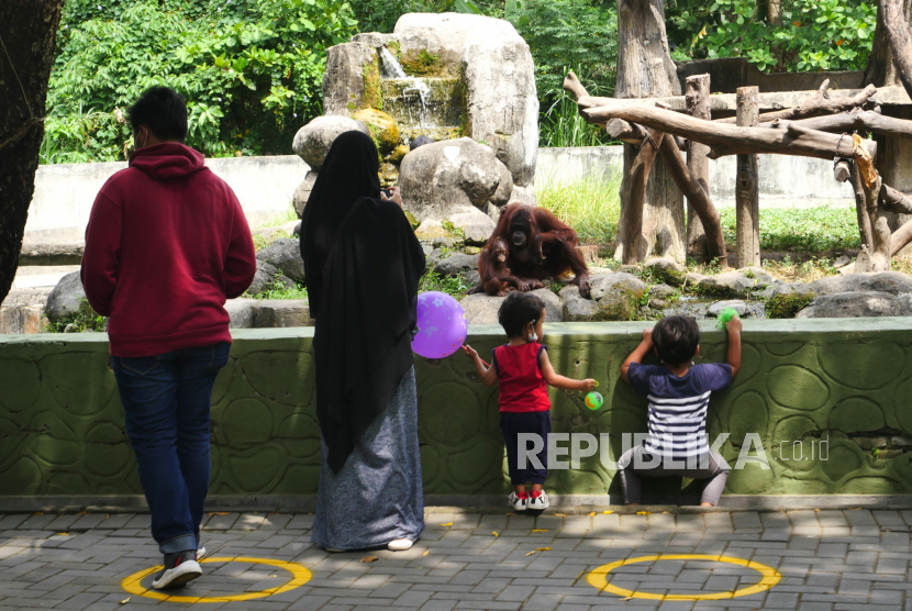 Orang tua membawa anak-anak berwisata di Gembira Loka (GL) Zoo, Yogyakarta, Senin (11/10). Kementerian Pariwisata dan Ekonomi Kreatif meminta para pengelola destinasi wisata dan taman rekreasi untuk disiplin menerapkan protokol kesehatan serta aplikasi PeduliLindungi jelang libur natal dan tahun baru 2022.