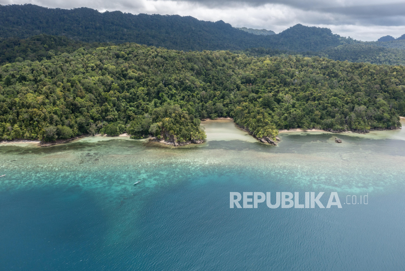 Kekayaan alam di Papua Barat Daya. 