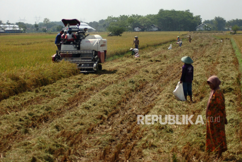 Petani memanen padi menggunakan mesin potong padi modern di areal persawahan Desa Bulakpacing, Kabupaten Tegal, Jawa Tengah, Kamis (16/7/2020). Kementerian Pertanian menargetkan luas tanam di musim tanam kedua (MT-II) tahun ini atau pada periode April-September 2020 bisa mencapai 5,6 juta hektare dan diperkirakan produksi beras yang dihasilkan bisa mencapai 12,5 juta hingga 15 juta ton. 