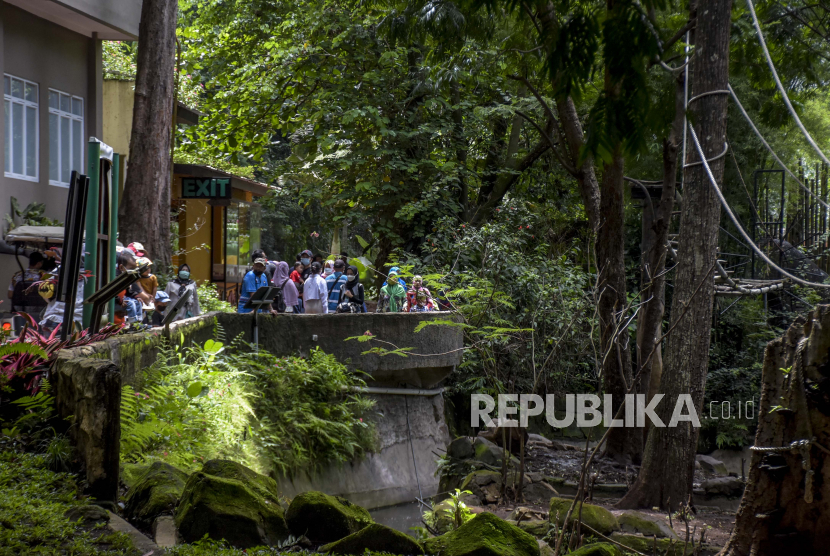 Pengunjung berada di area kandang satwa di Bandung Zoological Garden (Bazooga), Kota Bandung, Ahad (21/11). Menurut data pihak pengelola, jumlah pengunjung di Bandung Zoological Garden mengalami peningkatan sekitar 25 persen atau 2.500 pengunjung per hari dibandingkan dengan bulan lalu yang hanya 1.000 sampai 1.900 pengunjung per hari. Peningkatan tersebut seiring dengan turunnya angka kasus Covid-19 dan status Kota Bandung yang saat ini menjadi PPKM Level 2. Foto: Republika/Abdan Syakura