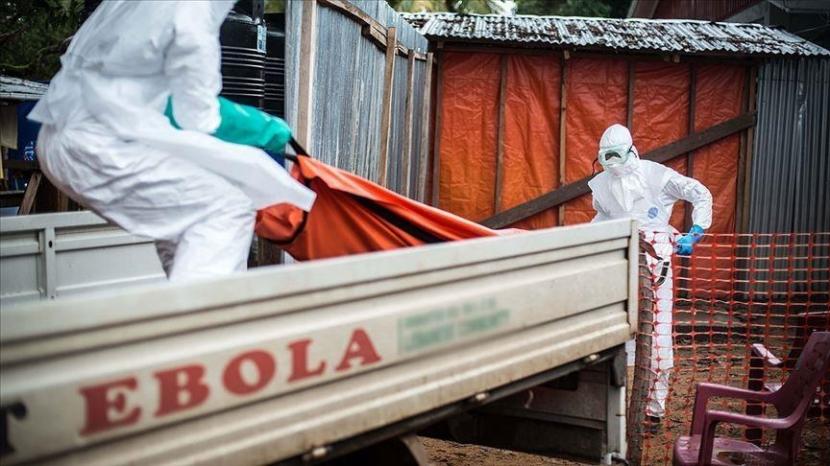 Republik Demokratik Kongo telah melaporkan lima kasus virus Ebola yang semuanya meninggal