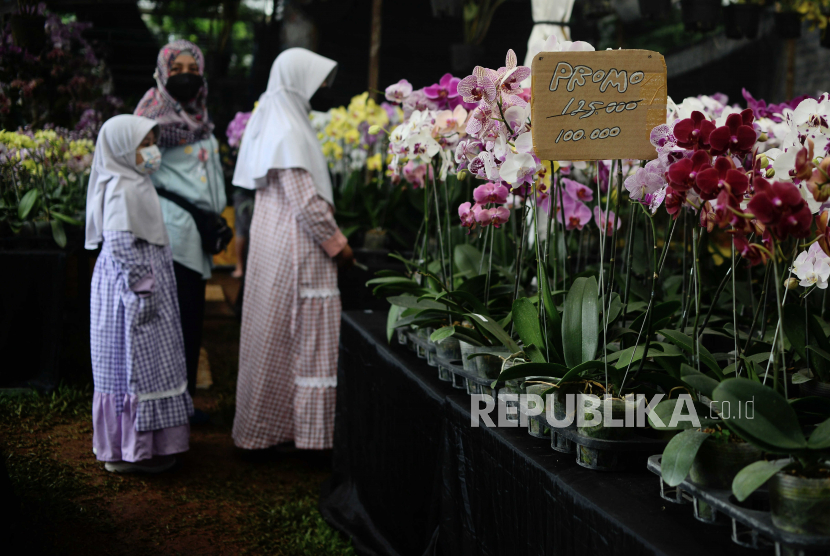 Pengunjung melihat tanaman pada acara Floraction di Lapangan Banteng, Jakarta, Sabtu (18/2/2023).