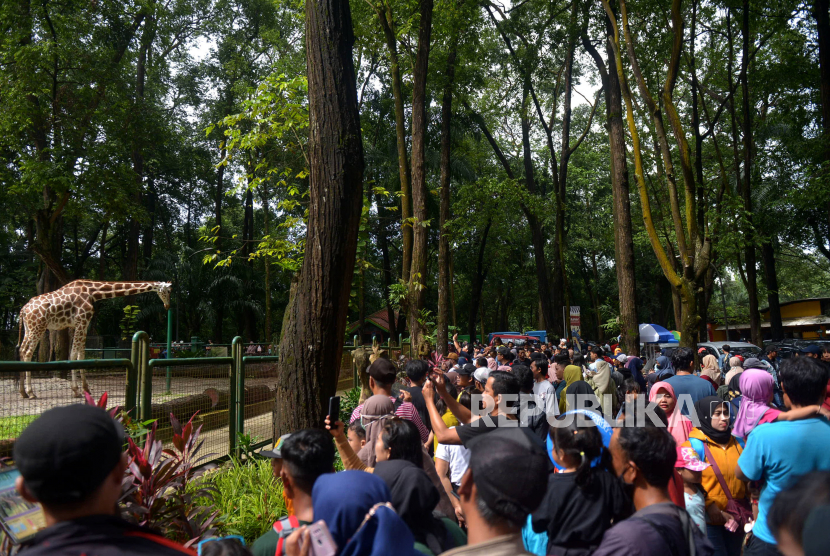 Sejumlah pengunjung memadati Taman Margasatwa Ragunan di Jakarta, Ahad (1/1/2023). Taman Margasatwa Ragunan tersebut masih menjadi tujuan wisata yang diminati warga Jakarta dan sekitarnya pada Libur awal tahun baru 2023. Walau sejak pagi dilanda hujan yang cukup awet tidak menyurutkan warga untuk tetap berlibur. Prayogi/Republika