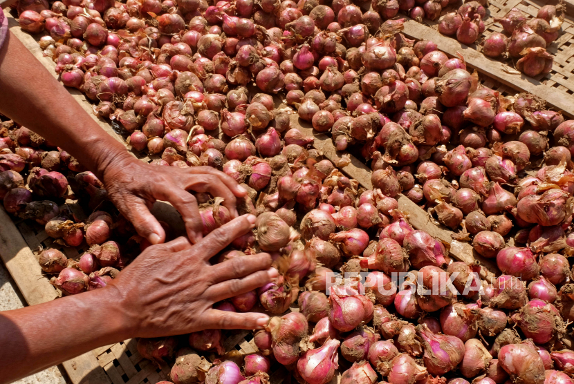 (ILUSTRASI) Pekerja menjemur bawang merah di Kabupaten Temanggung, Jawa Tengah.