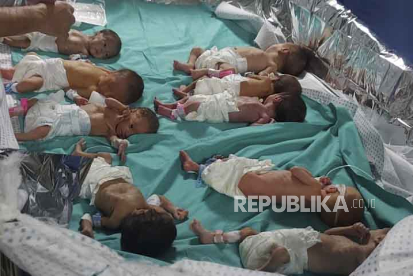 Sebanyak 31 bayi prematur dengan selamat dipindahkan dari rumah sakit utama Gaza ke rumah sakit lain di selatan pada Ahad (19/11/2023). 