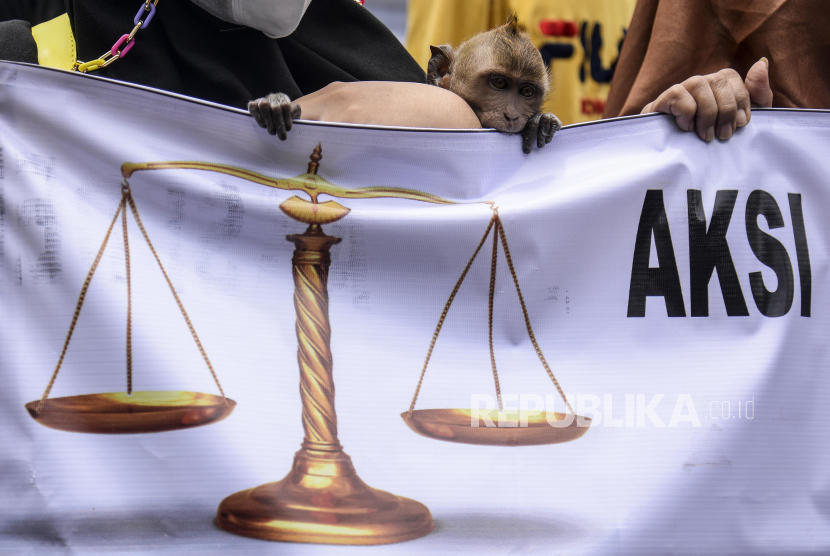 Massa aksi membawa seekor monyet saat melakukan unjuk rasa di depan Kantor Mahkamah Agung, Jakarta, Selasa (25/10/2022). Pada unjuk rasa tersebut mereka mendesak Mahkamah Agung untuk memberikan atensi khusus terkait kasus mafia tanah dan mafia peradilan. Republika/Putra M. Akbar