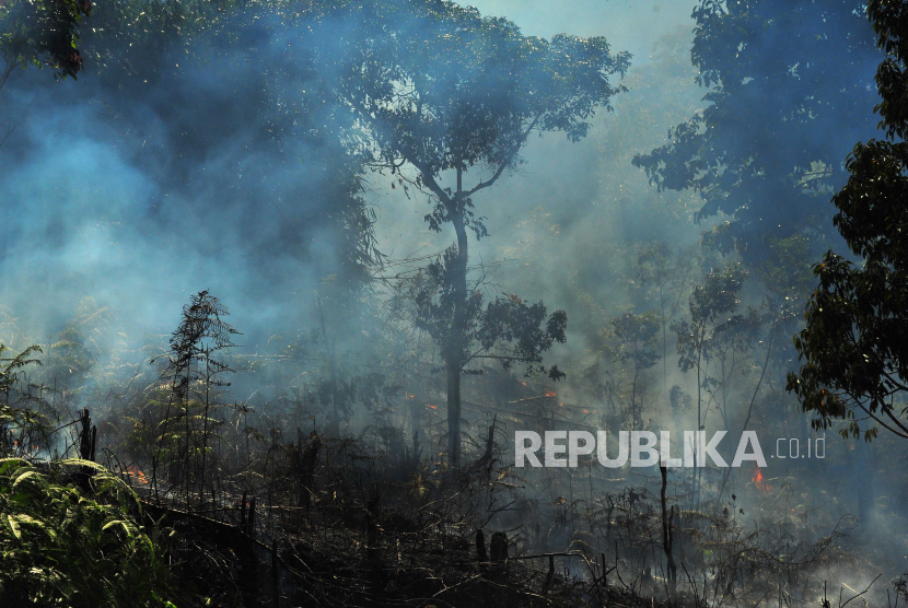 [Ilustrasi] Asap mengepul akibat kebakaran lahan, di Kerinci, Jambi. Direktur Reskrimsus Polda Jambi Kombes Edi Faryadi mengatakan, kasus kebakaran hutan dan lahan pada 2020 di Provinsi Jambi menurun drastis bila dibandingkan 2019 lalu. 