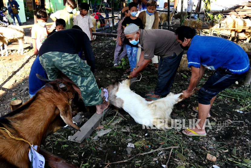 Panitia kurban menyembelih hewan kurban di Masjid Pathok Negoro, Ploso Kuning, Sleman, DI Yogyakarta. 