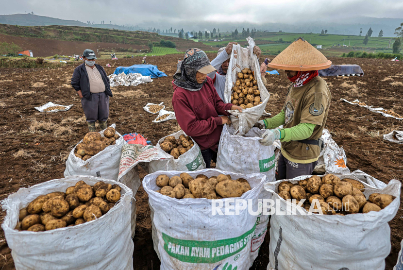 Awas! Petani Berpotensi Tergilas Tarif AS