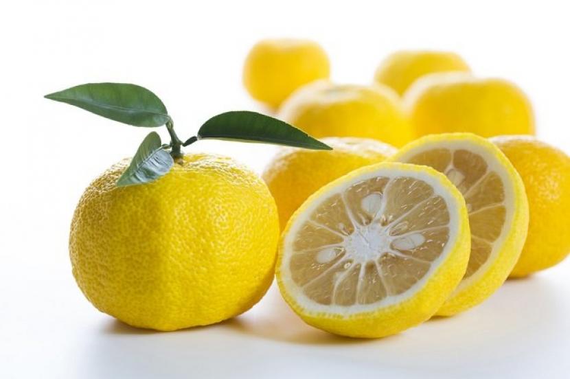  Buah yuzu atau Citrus junos merupakan buah dari kelompok sitrus (jeruk)