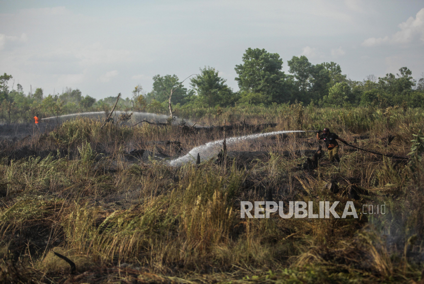 [Foto Ilustrasi] Lahan gambut yang terbakar di Palangkaraya, Kalimantan Tengah.