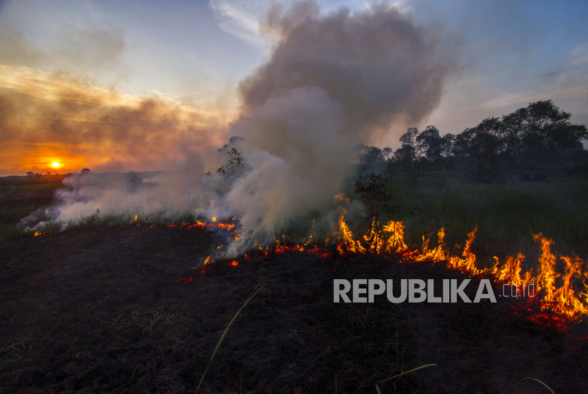 Api membakar hutan dan lahan di Kecamatan Landasan Ulin, Banjarbaru, Kalisel, Selasa (27/6/2023).