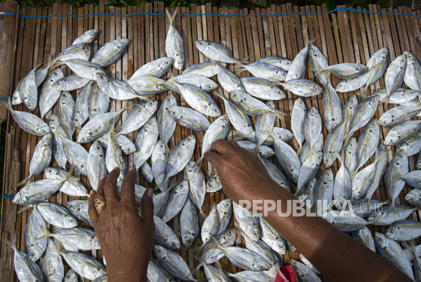 Produk ikan asin di Pulau Sabira, Kabupaten Kepulauan Seribu, DKI Jakarta.