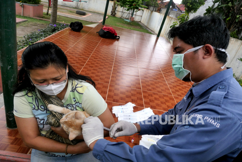 Dokter hewan dari Dinas Pertanian dan Panganmenyuntik vaksin rabies pada kucing warga (ilustrasi)
