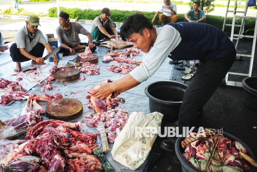 Panitia memotong daging hewan kurban di Masjid At-Thohir, Depok, Jawa Barat, Jumat (6/6/2025). Tahun ini, panitia kurban Masjid At-Thohir menyembelih 7 ekor sapi dan 18 ekor domba/kambing. Selanjutnya, daging kurban akan didistribusikan kepada warga, panti asuhan, serta lembaga sosial di sekitar lingkungan masjid.