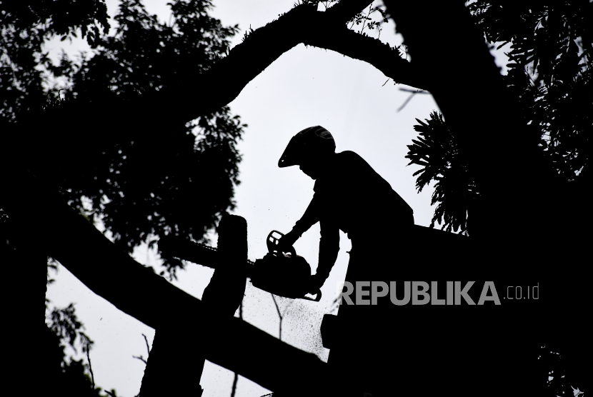 Petugas memotong batang pohon yang tumbang. Ilustrasi