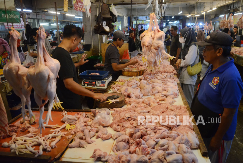 Pedagang ayam melayani pembeli (ilustrasi). Dinas Pertanian Kota Mataram, Provinsi Nusa Tenggara Barat, mendatangkan 70 ton daging ayam beku dari Jombang, Jawa Timur, sebagai upaya menstabilkan harga.