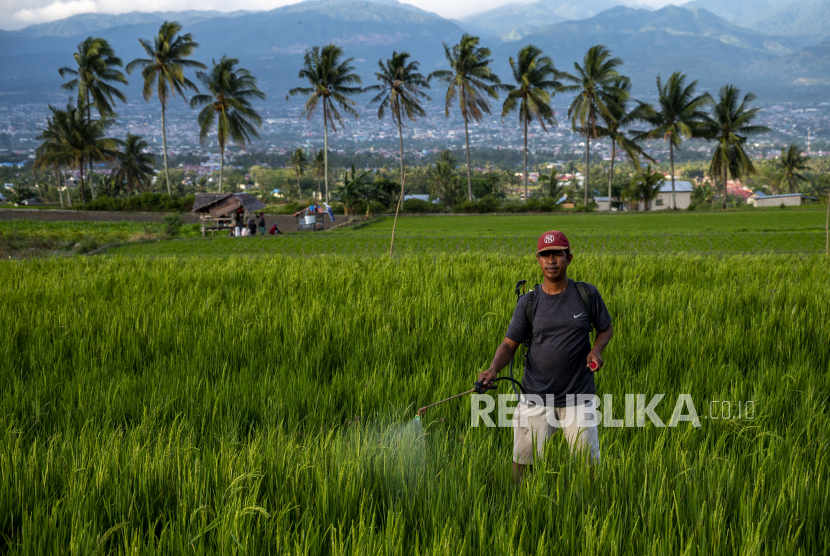 Petani menyemprotkan pestisida ke tanaman padinya di Desa Boya Baliase, Sigi, Sulawesi Tengah. Mahakam Group tidak ragu untuk mengambil kesempatan membuka Mahakam Agro Official di enam e-commerce, seperti Shopee, Lazada, Tokopedia, Bukalapak, Blibli, dan JD.ID. 