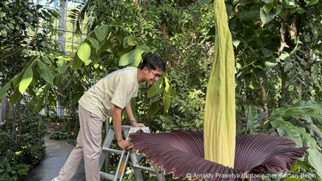 Arnaldy Prasetya/Botanischer Garten Berlin