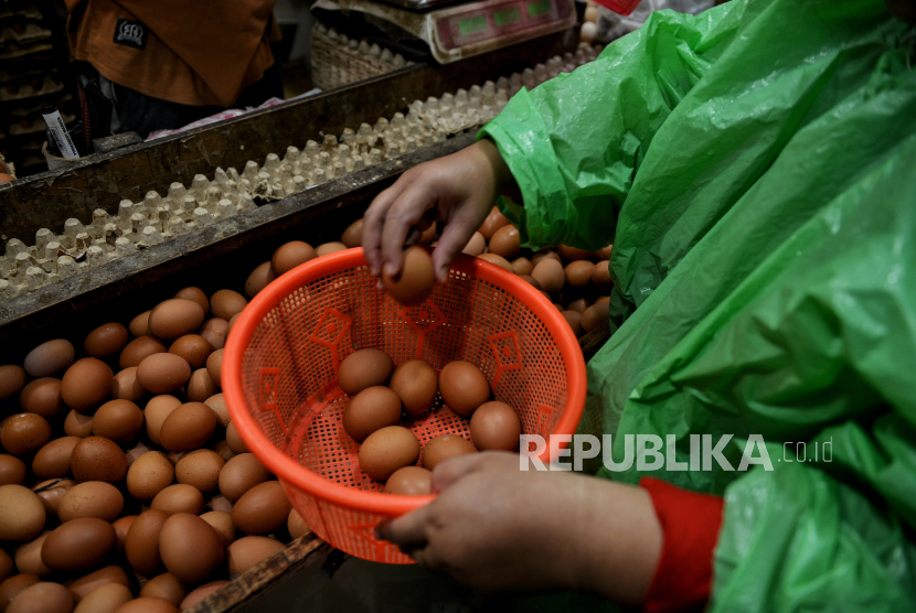 Pembeli memilah telur di pasar tradisional Pasar Minggu, Jakarta Selatan, Senin (4/3/2024). Sepekan menjelang bulan suci Ramadhan 1445 Hijriah, sejumlah harga pangan pokok mulai merangkak naik di Pasar Minggu. Untuk harga daging ayam mengalami kenaikan Rp2.000 sampai Rp3.000 dari harga Rp32.000 per ekor, kini seharga Rp35.000 per ekor, harga telur sebelumnya Rp27.000 menjadi Rp30.000 sementara untuk harga daging sapi mengalami kenaikan sebesar Rp10.000 dari Rp125.000 per kilogram kini mencapai Rp135.000 per kilogram. kenaikan tersebut dikeluhkan sejumlah pedagang, pasalnya, daya beli masyarakat mengalami penurunan imbas dari melonjaknya sejumlah harga pangan pokok lainnya.
