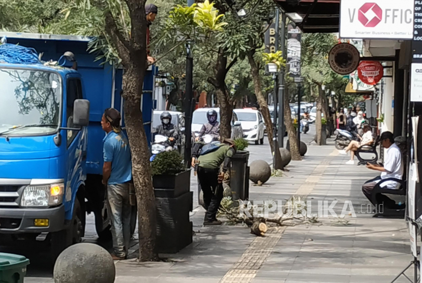 Petugas DPKP3 Kota Bandung, melakukan pemangkasan bagian pohon yang lapuk dan menjuntai ke jalan, di kawasan Jalan Braga