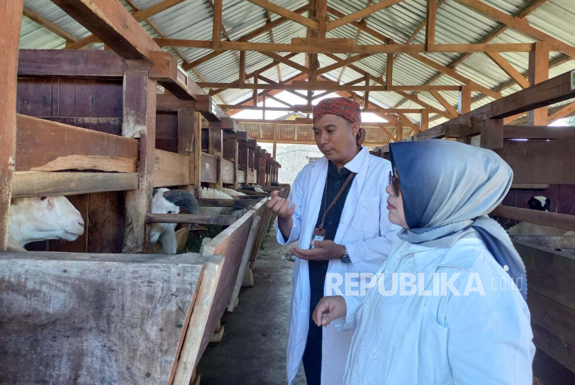 Wakil Ketua Komisi 2 DPRD Jawa Barat (Jabar) Lina Ruslinawati (kanan) mengunjungi UPTD BPPT Domba dan Kambing Margawati di Kabupaten Garut, Jawa Barat, Kamis (20/7/2023). 