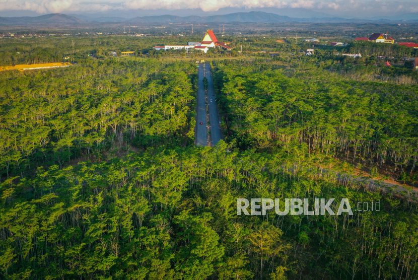 Foto udara suasana Taman Hutan Hujan Tropis Indonesia (TH2TI) di Perkantoran Pemerintah Provinsi Kalimantan Selatan, Banjarbaru, Kalimantan Selatan, Ahad (28/07/2024). 