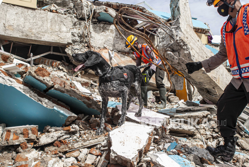 16 Korban Gempa Sulbar Mengungsi di Gowa. Anggota unit K9 dari Polri mencari korban di reruntuhan bangunan yang rusak akibat gempa 6,2 SR di Mamuju, Sulawesi Barat, Indonesia, 18 Januari 2021. Sedikitnya 84 orang tewas dan ratusan lainnya luka-luka setelah 6.2 gempa bumi melanda pulau Sulawesi pada tanggal 15 Januari.