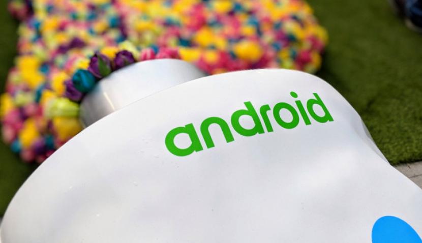 AS Ricuh, Sistem Android 11 Gagal Meluncur Pekan Depan. (FOTO: Tech Crunch)