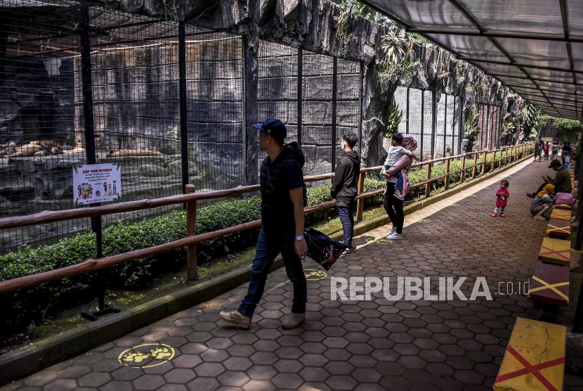 Pengunjung melihat koleksi satwa saat hari pertama pembukaan kembali Bandung Zoological Garden, Kota Bandung, Sabtu, (27/6). Sebanyak 6 titik objek wisata di Kota Bandung tetap akan beroperasi di hari Lebaran 1442 hijriah pada Kamis (13/5) mendatang. 