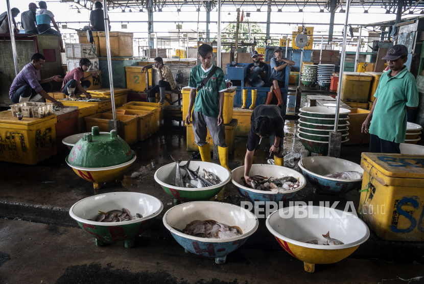 Pedagang menata ikan yang akan dijual di Pasar Ikan Muara Angke, Jakarta. Ilustrasi.