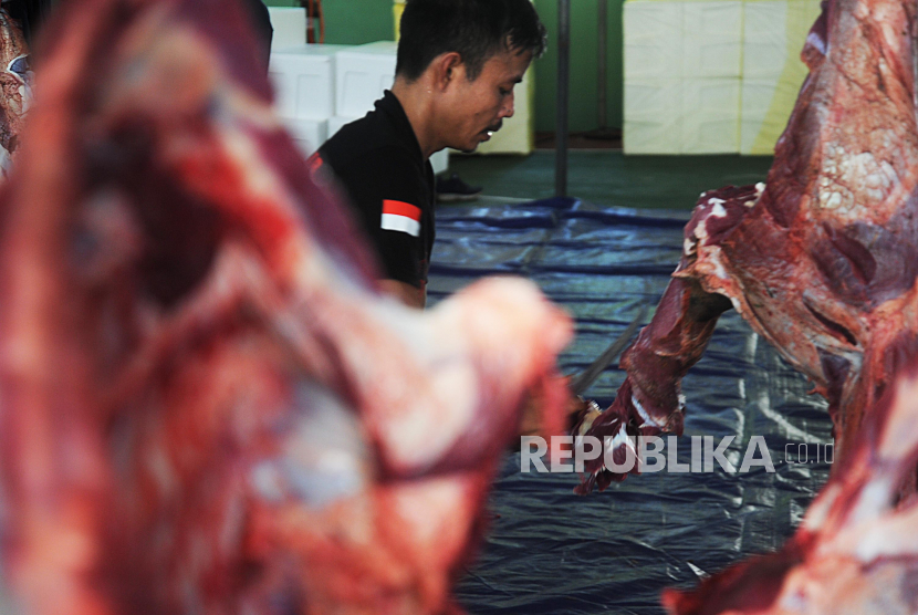 Ilustrasi memotong hewan kurban pada Idul Adha.