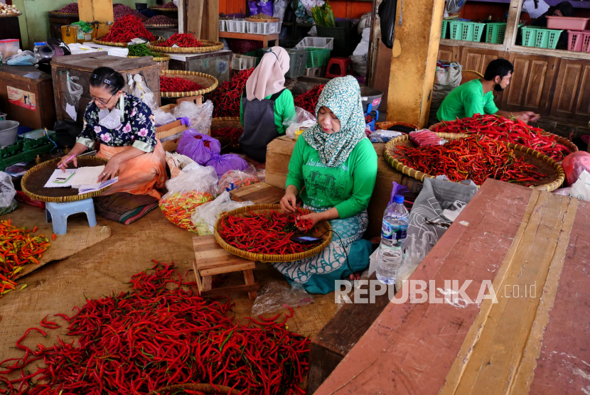 Pedagang menyortir cabai merah (ilustrasi). Menteri Pertanian Syahrul Yasin Limpo (SYL) menjamin pasokan dan ketersediaan komoditas cabai dalam kondisi cukup.