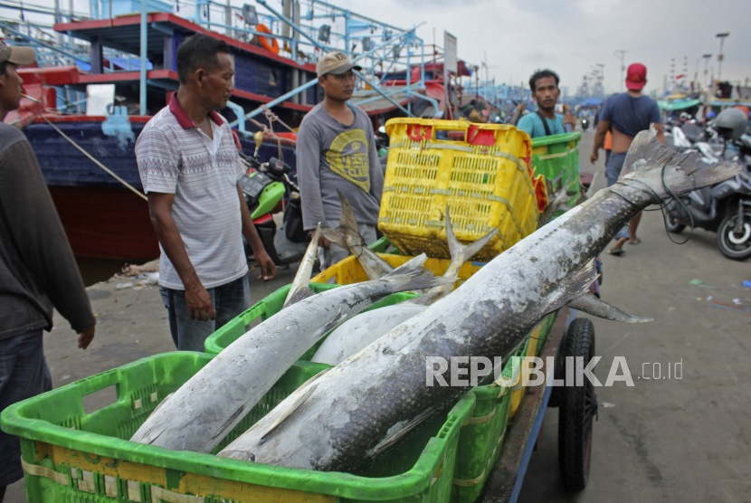 Nelayan membawa ikan hasil tangkapan (ilustrasi). Himpunan Nelayan Seluruh Indonesia (HNSI) Kepulauan Riau menyebutkan kenaikan harga BBM akan berdampak pada daya beli masyarakat terhadap ikan akan turun.