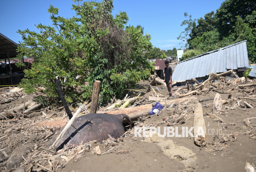 Gajah Sumatera Mati Terseret Banjir Bandang di Aceh