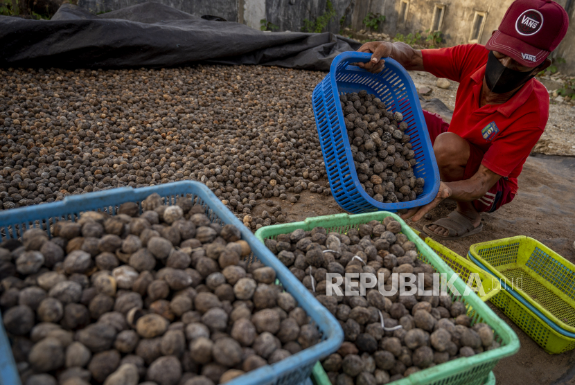 Pekerja mengumpulkan biji kemiri usai dijemur di Desa Karawana, Sigi, Sulawesi Tengah, Jumat (13/8/2021). 