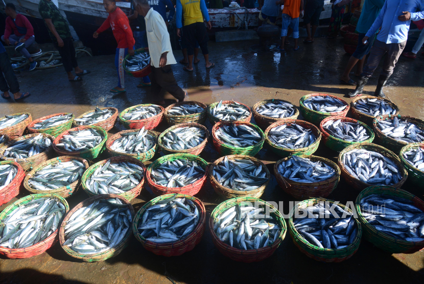 Buruh pelabuhan menata keranjang berisi ikan saat bongkar muat hasil tangkapan dari kapal nelayan di terminal Pelabuhan Perikanan Samudera, Lampulo, Banda Aceh, Aceh. Sektor perikanan menunjukkan pertumbuhan positif yakni naik 9,69 persen pada kuartal II 2021.