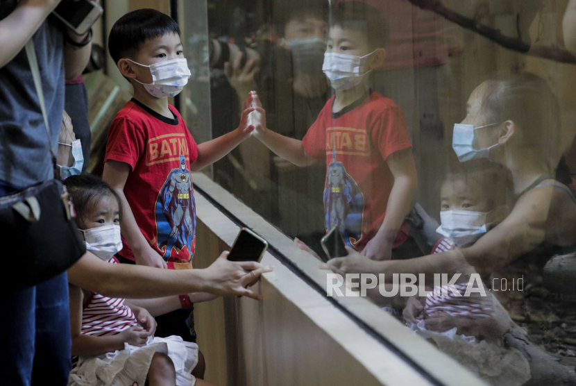 Pengunjung tercermin dalam kaca sebuah kandang di Kebun Binatang Singapura di Singapura, 28 Juli 2020. 