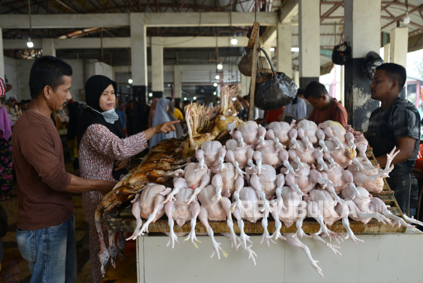 Calon pembeli memilih ayam potong yang dijual pedagang di Pasar Al Mahirah, Banda Aceh, Aceh, Selasa (27/6/2023). 