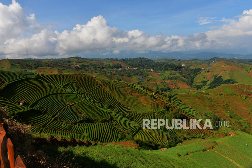 Destinasi wisata di ketinggian 2000 mdpl ini terletak di salah satu lereng Gunung Ciremai. 