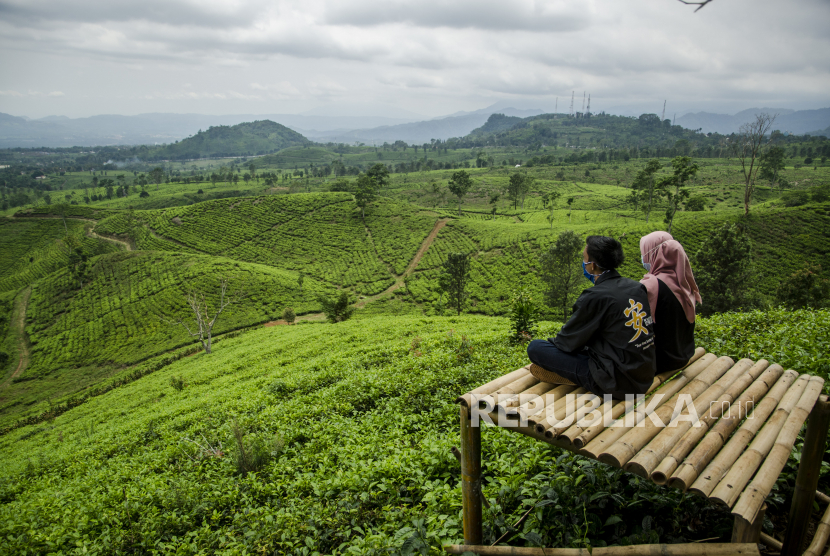 Waga menikmati pemandangan kebun teh di Bukit Sangtiong, Ciater. (Ilustrasi)