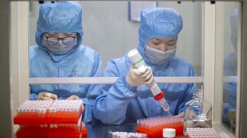 Uji coba tahap 2 menyimpulkan bahwa vaksin tersebut aman dan memicu respons kekebalan, ujar China - Anadolu Agency