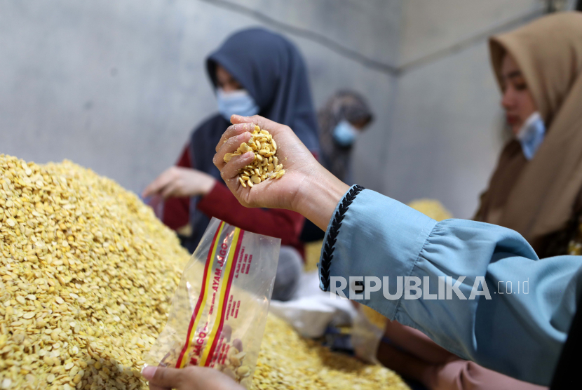 Pekerja membuat tempe, makanan tradisional yang terbuat dari kedelai rebus dan dicampur dengan ragi untuk proses fermentasi, di industri kecil pembuatan tempe dan tahu di Banda Aceh, Indonesia, 03 Agustus 2021.