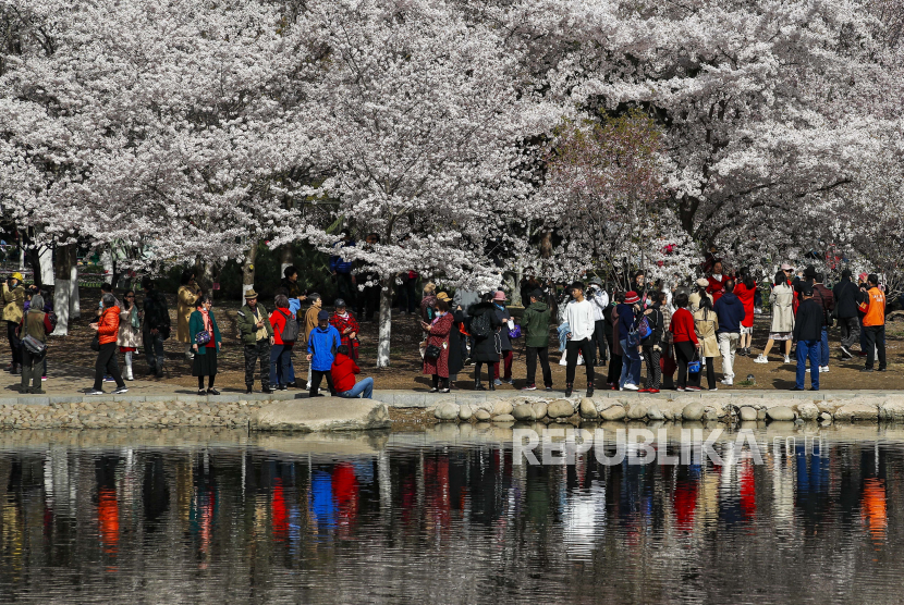  Pengunjung menikmati bunga sakura di Taman Yuyuantan selama festival musim semi di Beijing, Selasa (30/3). Perekonomian China melesat meninggalkan negara-negara lain di dunia setelah menderita penurunan karena Covid-19 tahun lalu.  