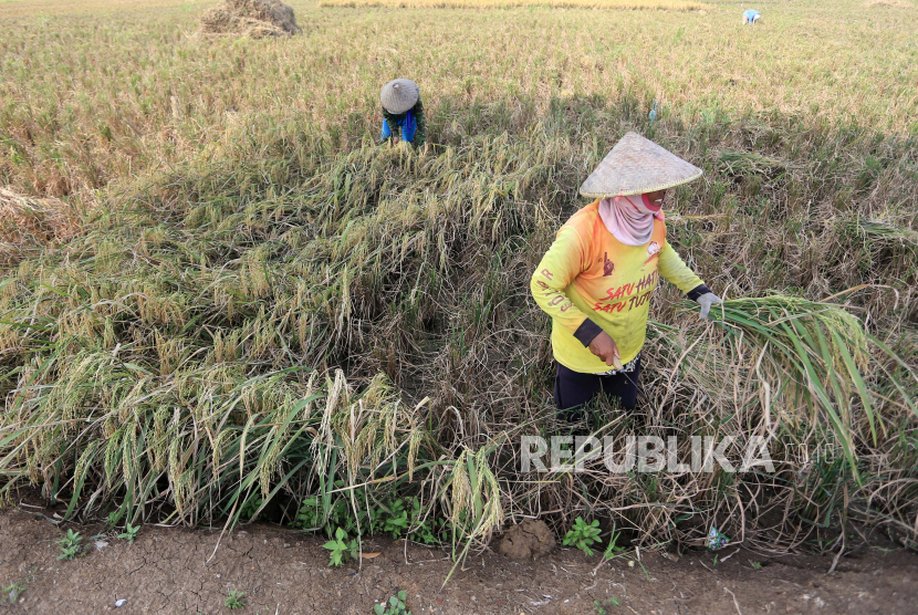 Kepala Badan Meteorologi, Klimatologi, dan Geofisika (BMKG) Dwikorita Karnawati menegaskan lembaga yang dipimpinnya siap mengawal dan memperkuat ketahanan dan kedaulatan pangan nasional. 