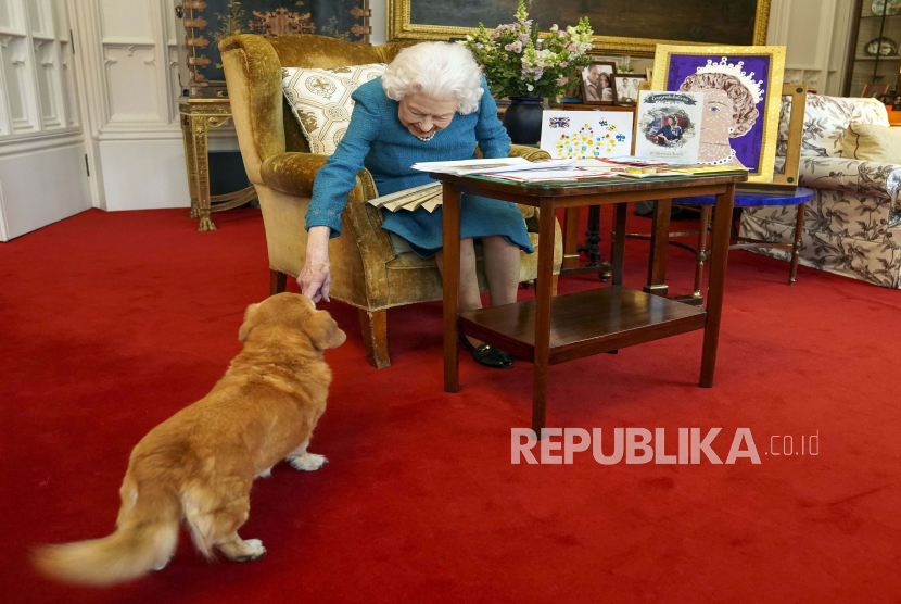 Ratu Elizabeth II dari Inggris, ditemani oleh salah satu anjingnya, melihat pajangan memorabilia dari Golden dan Platinum Jubilees-nya di Oak Room di Windsor Castle, Windsor, Inggris, dalam gambar tak bertanggal tetapi baru-baru ini yang dirilis pada Jumat 4 Februari. 