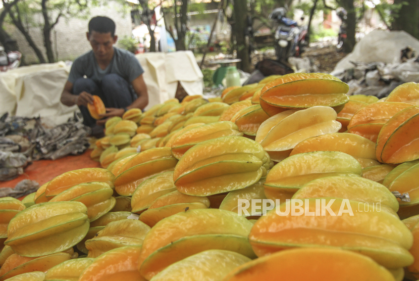 Pemilik kebun memilah buah belimbing dewi hasil panen di kawasan Rawa Denok, Kota Depok, Jawa Barat, Rabu (24/2/2021).