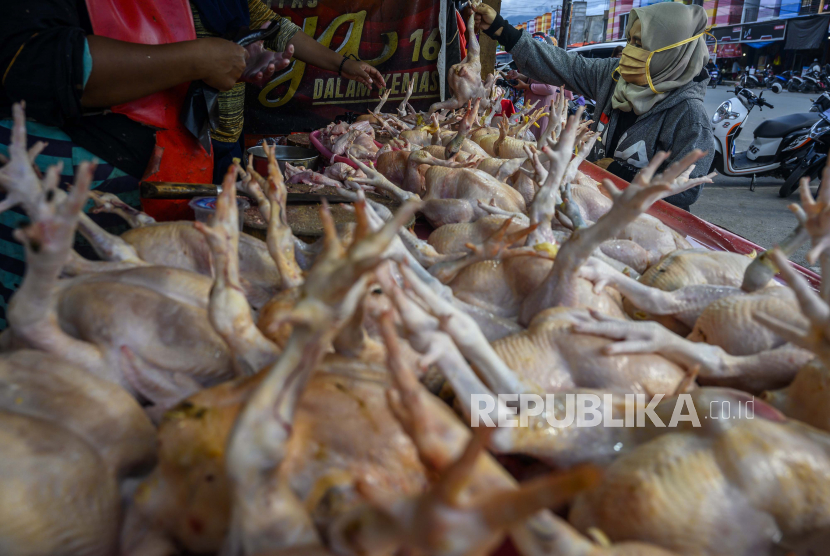 Pembeli memilih ayam di Pasar