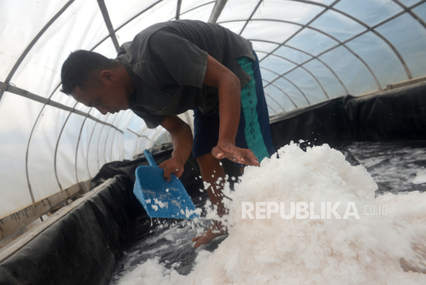 Petani garam mengumpulkan garam yang sudah jadi di Pantai Sepanjang, Gunungkidul, Yogyakarta, Selasa (1/11/2022). Harga garam konsumsi di Pasar Rawamangun melejit dari yang biasanya Rp 100 ribu per karung menjadi Rp 350 ribu per karung. 