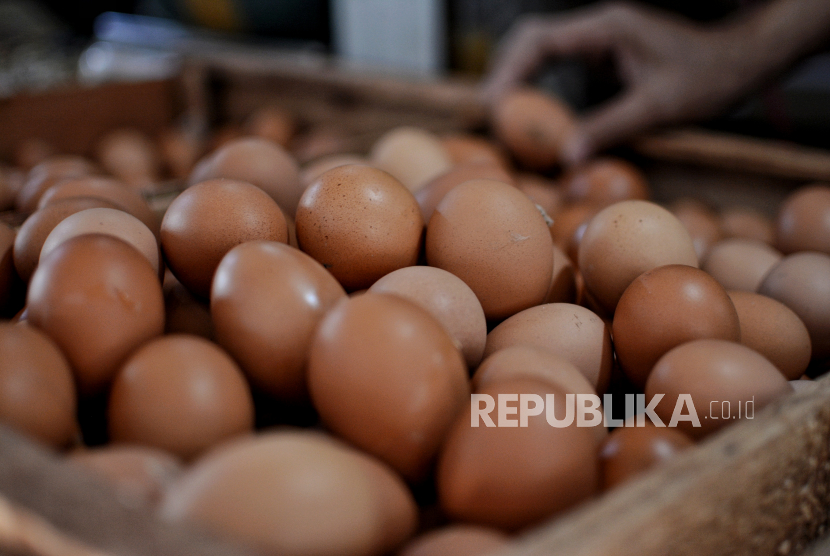 Pedagang melayani pembeli di kios telur ayam ras yang harganya terus naik (ilustrasi).